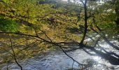 Trail Walking Herbeumont - les crêtes  - Photo 2