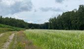 Tocht Stappen Maaseik - Gruitroderbos -  dunes - Photo 2