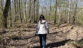 Excursión Senderismo Marigny - Forêt de Bagnolet - entre chemins et bois - Photo 1