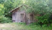 Percorso A piedi Eberbach - Rundwanderweg 3: Burg-Eberbach-Weg - Photo 6