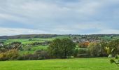 Excursión Senderismo Gulpen-Wittem - Epen - Vijlen - Mechelen  - Photo 12