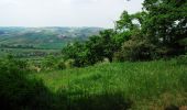 Randonnée A pied Gau-Algesheim - Hiwweltour Bismarckturm - Photo 4