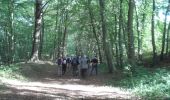 Tour Wandern Elbeuf - 20230926-le parc laquerierre cool  - Photo 2