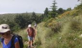 Trail Walking Andon - Les  Lys Pomponne de la montagne de Thiey - Photo 10