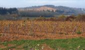 Percorso Marcia Saint-Jean-des-Vignes - Saint-Jean-des-Vignes - De Saint-Jean à Pierre Folle - Photo 4