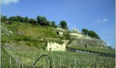 Tour Zu Fuß Sasbach am Kaiserstuhl - Wiedehopfpfad - Photo 2