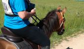 Trail Horseback riding Saizerais - endurance saizerais avec élodie  - Photo 1