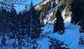Trail Snowshoes Pralognan-la-Vanoise - Pont de Gerlon - Photo 5