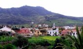 Tocht Te voet San Cristóbal de La Laguna - Camino de Candelaria de Tegueste - Photo 4