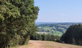 Tour Wandern Dreibrücken - rando logbiermé 6-08-2024 - Photo 15