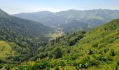 Tour Wandern Laveissière - Le Lioran Puy Mary - Photo 11