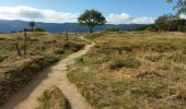 Excursión Bici de montaña Orbey - Orbey - Labaroche - Col du Wettstein - Photo 8