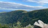 Excursión Senderismo Xonrupt-Longemer - Jardin d’altitude du haut Chita let - Trois fours - Photo 2