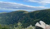 Tour Wandern Xonrupt-Longemer - Jardin d’altitude du haut Chita let - Trois fours - Photo 2