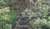 Tocht Elektrische fiets Berlare - Overmere- donk -definitief - Photo 16