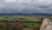 Trail Horseback riding Ernolsheim-lès-Saverne - 2019-10-09 Rando CVA Boucle du Bastberg - Photo 4