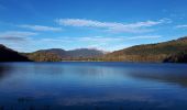 Tocht Stappen Laffrey - Tour du Grand Lac de Laffrey en circuit - Photo 1