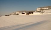 Tour Zu Fuß Löberschütz - Alter Gleisberg weiss-gelb-weiss - Photo 9