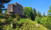 Trail Walking Ottrott - Le circuit des 5 châteaux - Photo 15