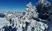 Trail Snowshoes Lans-en-Vercors - Belvédère des Cimes et Moucherotte en raquettes - Photo 5