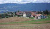 Tour Zu Fuß Rovray - Chemin du Vallon des Vaux - Photo 9