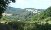 Tour Wandern Wellin - RB-Lu-25_Wellin_via-racc-2 - Photo 1