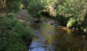 Tocht Stappen Malmedy - Un air de crête  - Photo 7