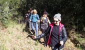 Tour Wandern Pierrefeu-du-Var - Pierrefeu  - Photo 1