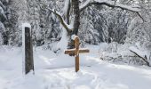 Excursión A pie Jalhay - Balade dans les Hautes Fagnes - Photo 4