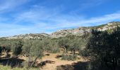 Trail Mountain bike Maussane-les-Alpilles - Maussane-les-Alpilles  Salon de Provence GR69 - Photo 12