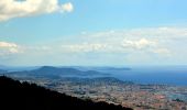 Tocht Stappen Toulon - SityTrail - 4 Chemins des Routes - Le Croupatier - Le Broussan - Col du Corps de Garde - Photo 12