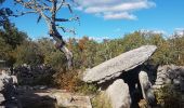 Randonnée Marche Labeaume - Labeaume dolmens - Photo 7