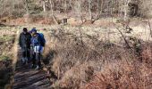 Tocht Stappen Doazon - DOAZON LE LAC labelisation du tour du lac - Photo 6