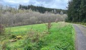 Trail Walking Monschau - Höfen variante narcisses 15,3 km - Photo 3