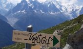 Tour Wandern Chamonix-Mont-Blanc - lac blanc par les Montets retour par Argentiere - Photo 6