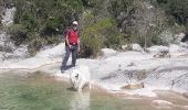 Excursión Senderismo Navacelles - CAL LES AIGUIERES  - Photo 19