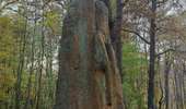 Randonnée Marche Viroflay - T-Chaville-Meudon - Photo 20