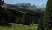 Tour Zu Fuß Kastelruth - (SI C20N) Rifugio Sasso Piatto - Selva di Val Gardena - Photo 2
