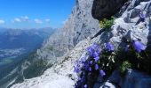 Excursión A pie Primiero San Martino di Castrozza - Sentiero attrezzato della Lasta moia - Photo 2