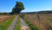 Trail Walking Beauraing - Balade de Wiesme à Finnevaux - Photo 4