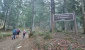 Trail Walking Sarcenas - chamchaude par la brèche Arnaud  - Photo 6