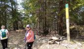 Percorso Marcia Saint-Martin-en-Vercors - Le pas St Martin depuis le Chalet Nordique - Photo 4