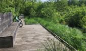 Trail Mountain bike Magny-Vernois - Magny Vernois,  ois de lantenot et de belmont - Photo 5
