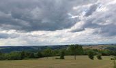 Trail Walking Comblain-au-Pont - qwadrifyon autour d´Oneux  - Photo 4