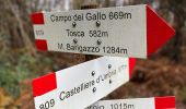 Excursión A pie Varsi - Strada di Campo del Gallo - Lago di Citta' - Cresta N - Monte Barigazzo - Photo 6