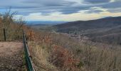 Tocht Stappen Andlau - Andlau-Spesbourg - Photo 1