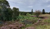 Randonnée Marche Waimes - Promenade de Poleur  - Photo 2