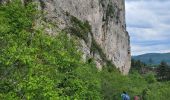 Trail Walking Roquefort-sur-Soulzon - le Combalou par le sentier des échelles - Photo 18