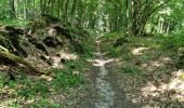 Tour Wandern Saint-Sulpice-de-Favières - Saint-Sulpice-de-Favières - Photo 4