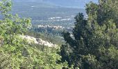 Percorso Sentiero Cheval-Blanc - Font de l’Orme-Croix de Fer-Menerbes-Pic Faiendre(17K 950D+) - Photo 5